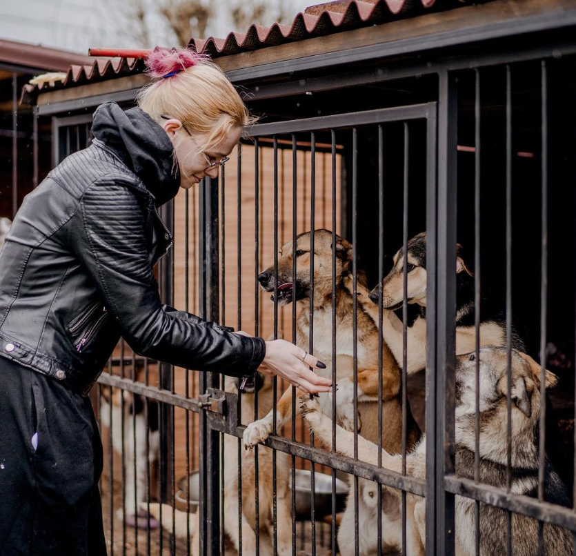 "Животные мне как дети". Где сейчас Анастасия Тихая, спасшая собак из Ирпеня в начале войны